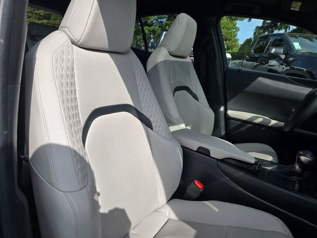 2020 Lexus UX UX 250h