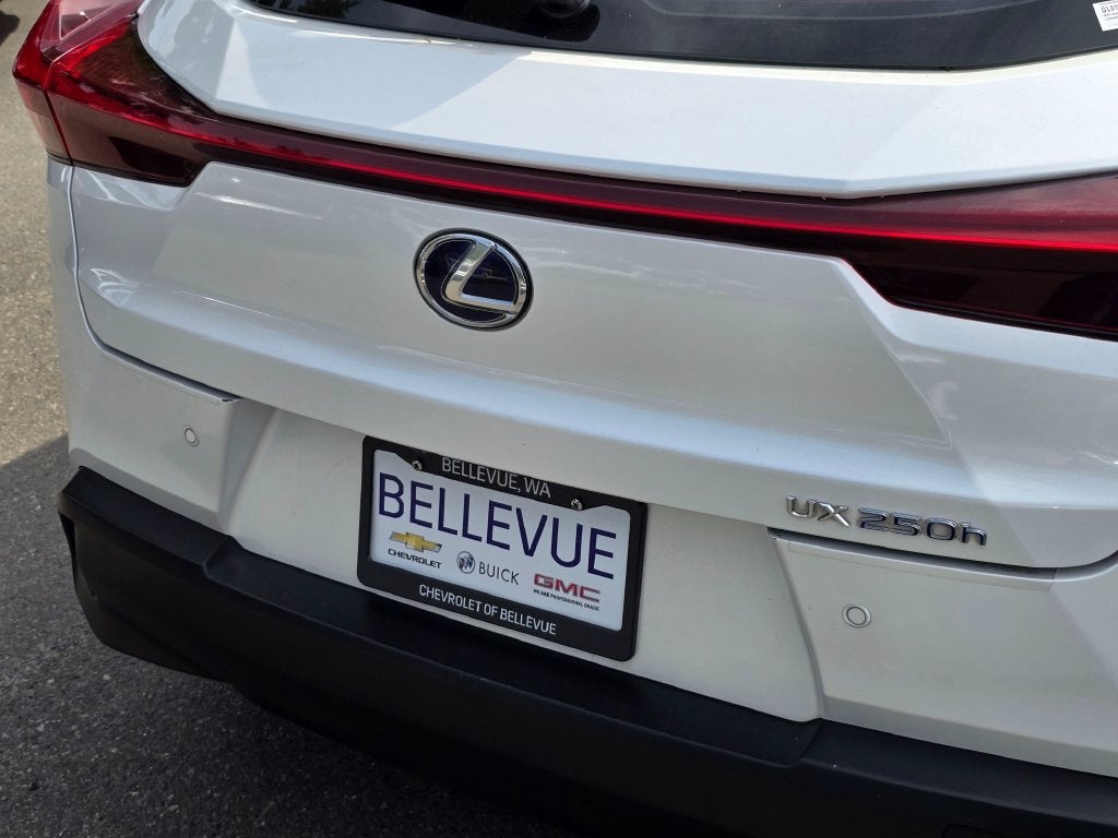 2020 Lexus UX UX 250h