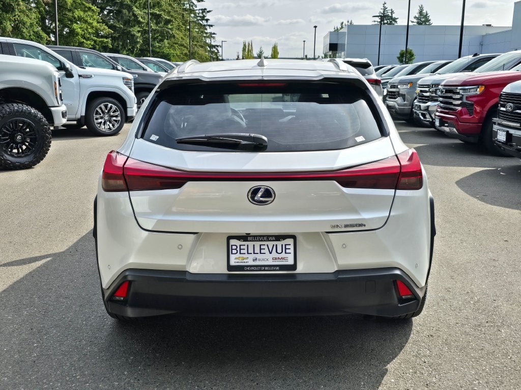 2020 Lexus UX UX 250h