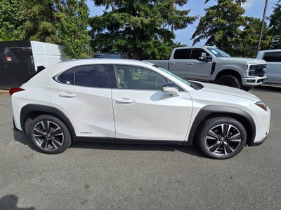 2020 Lexus UX UX 250h