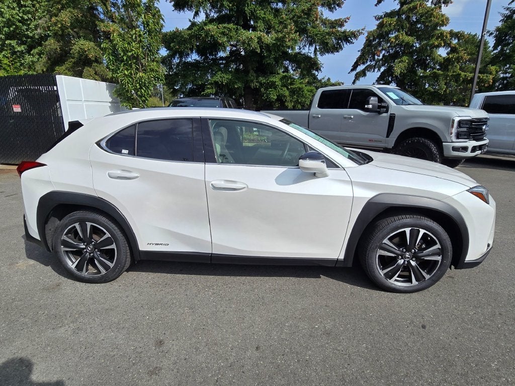 2020 Lexus UX UX 250h