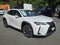 2020 Lexus UX UX 250h