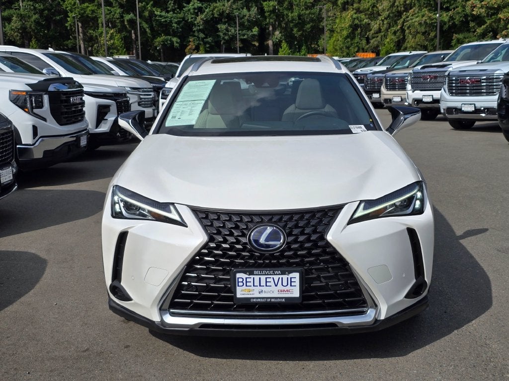 2020 Lexus UX UX 250h