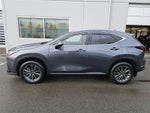 2025 Lexus NX NX 350h Premium