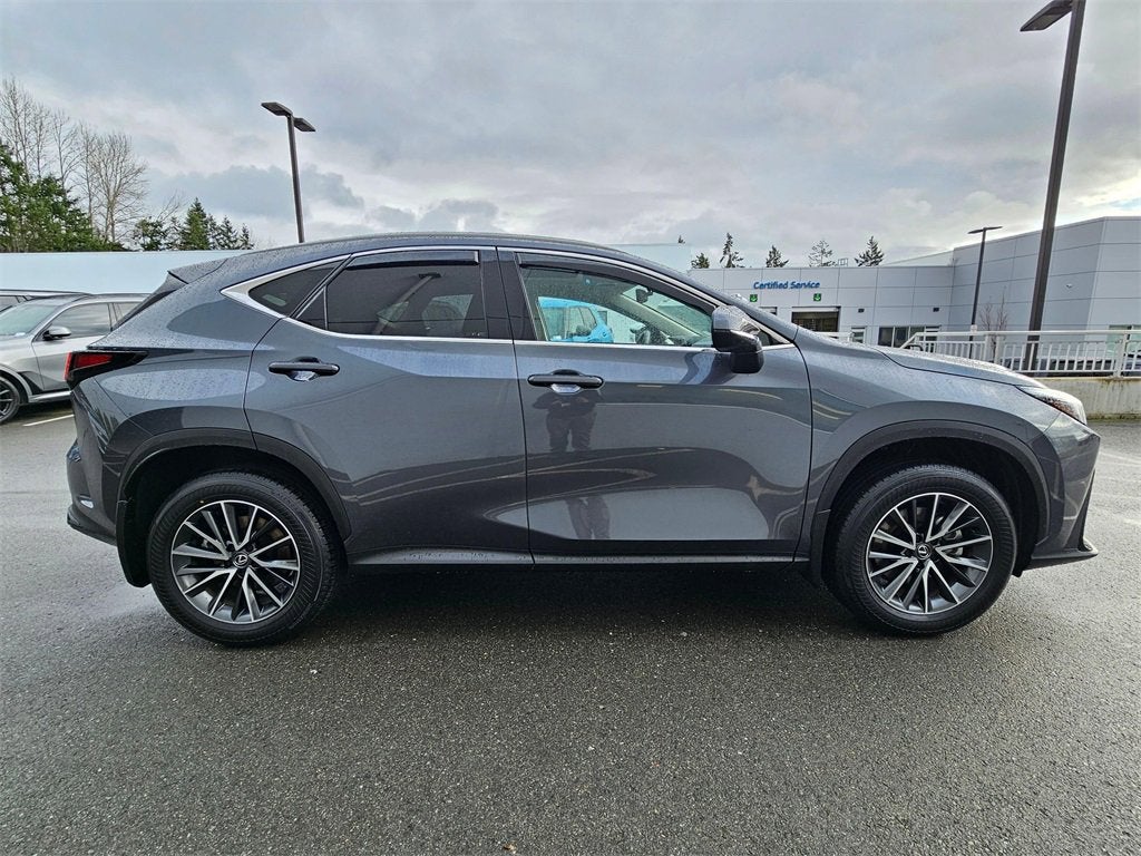 2025 Lexus NX NX 350h Premium