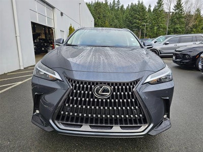 2025 Lexus NX NX 350h Premium