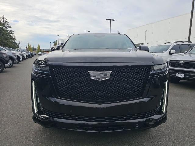 2024 Cadillac Escalade ESV Sport Platinum